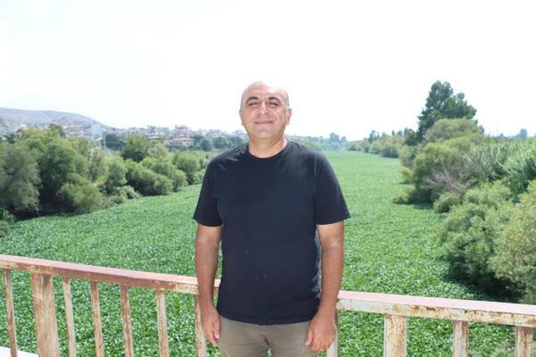 Yine görüldü Asi Nehrinin bazı bölümlerini tamamen kapladı