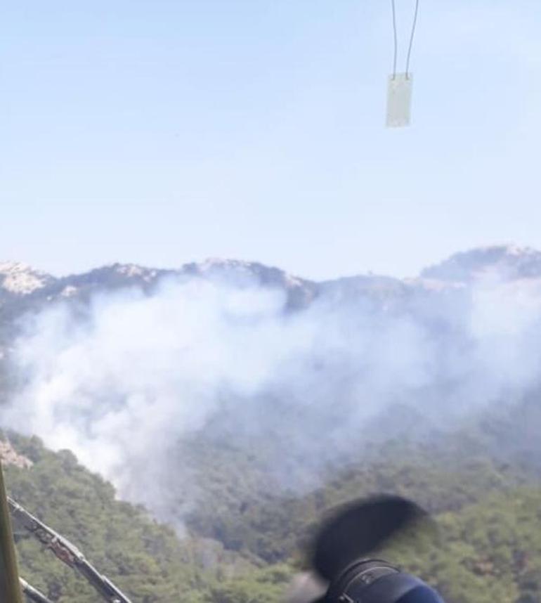 Son dakika... İzmir Güzelbahçede orman yangını