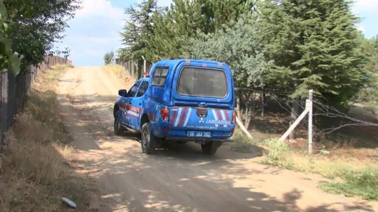 Kaçan kurbanlığın peşinden giden tıp öğrencisi kayboldu