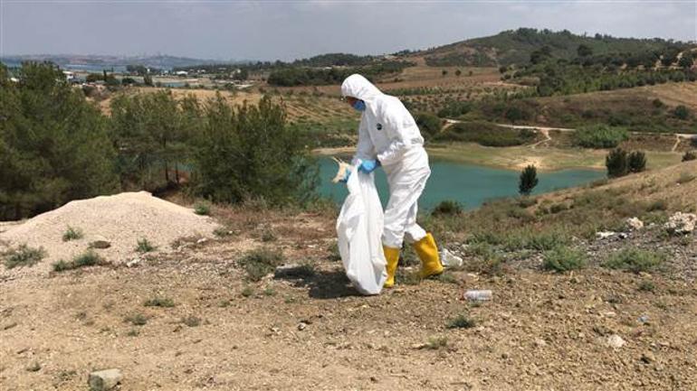 Adanadaki görüntüler tepki çekmişti 300 civciv için harekete geçildi