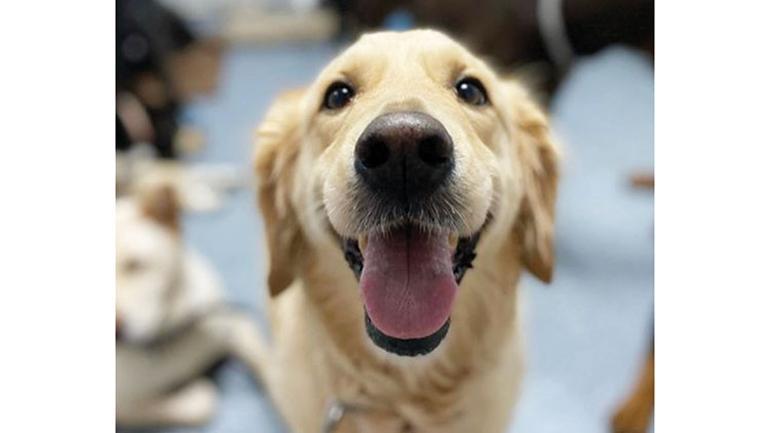 Tatildeyken Aklimiz Onlarda Kalmasin Magazin