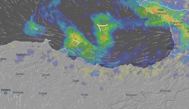 Son dakika... Doğu Karadenize peş peşe aşırı sağanak yağış uyarısı Prof. Dr. Şen tek tek sıraladı