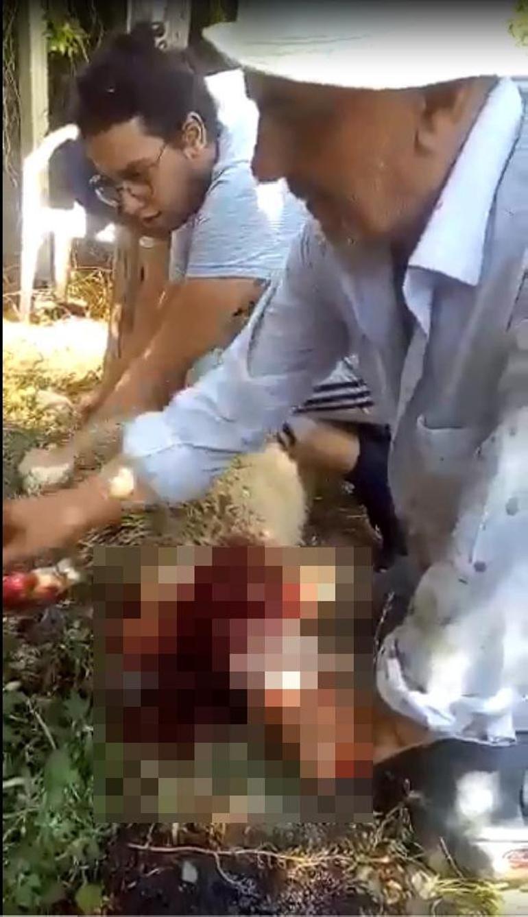 Son dakika... Tıp öğrencisi Onur Alp Ekerin ölümünde kahreden detay O fotoğraftaki değilmiş...