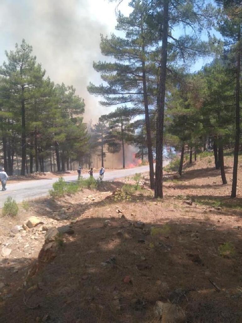 son dakika kayseri nin yahyali ilcesinde orman yangini son dakika flas haberler