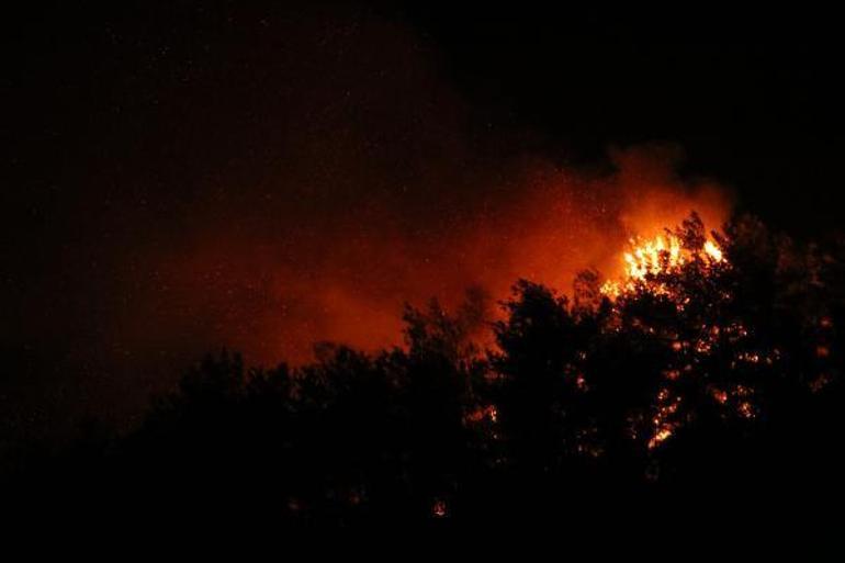 Son dakika haberi... Manavgatta büyük felaket 4 farklı noktada yangın... Mahalleler boşaltıldı Dehşet verici görüntüler geliyor