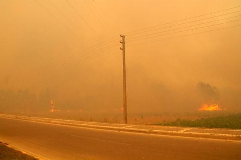 Son dakika... Manavgat Belediye Başkanı Sözenden çok acı sözler: 8 mahalle tamamen yok oldu