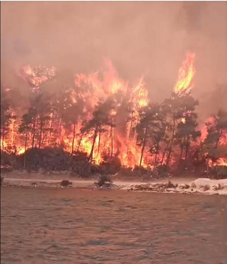 Son dakika... Yangın kâbusu giderek büyüyor... Muğlanın Bodrum ilçesinde yangın Ekipler bölgeye sevk edildi