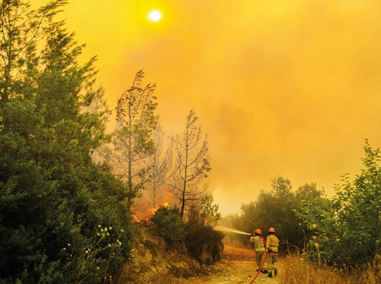 Elif Çakır’ın tercihine laf etmek kimsenin haddi değildir