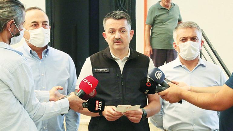 Manavgat Marmaris Bodrum Adana Osmaniye Mersin Kayseride orman yangını... Kimin işi