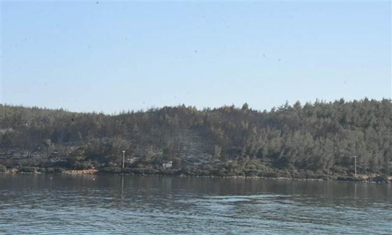 Son dakika: İşte Bodrumdaki yangının acı bilançosu... Havadan görüntülendi: Tamamen kül oldu