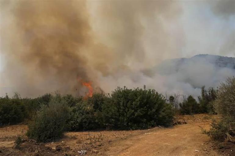 Son dakika haberi... İzmir, Muğla, Antalya, Adana, Mersin, Konya, Kastamonu ve Kahramanmaraştaki orman yangınlarında son durum