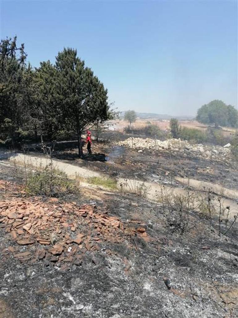 son dakika haberleri orman yangini izmir mugla antalya adana mersin konya kastamonu ve kahramanmaras taki orman yanginlarinda saat saat gelismeler son dakika haberleri orman yangini izmir mugla antalya adana mersin konya kastamonu ve kahramanmaras taki orman yanginlarinda saat saat gelismeler