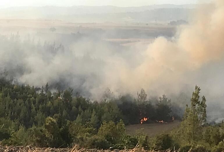 Son dakika haberi... İzmir, Muğla, Antalya, Adana, Mersin, Konya, Kastamonu ve Kahramanmaraştaki orman yangınlarında son durum