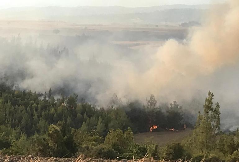 son dakika haberleri orman yangini izmir mugla antalya adana mersin konya kastamonu ve kahramanmaras taki orman yanginlarinda saat saat gelismeler