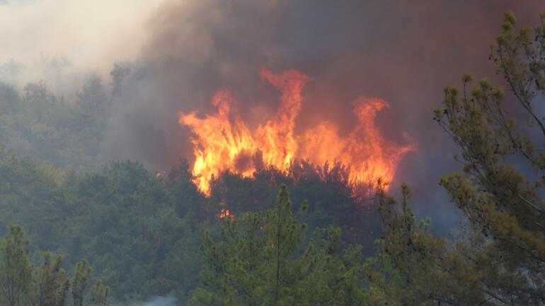 Son dakika... Sırtköydeki yangında son durum... Dün akşamdan beri sürüyor Alevlerin büyüklüğü 20 metreyi buldu...
