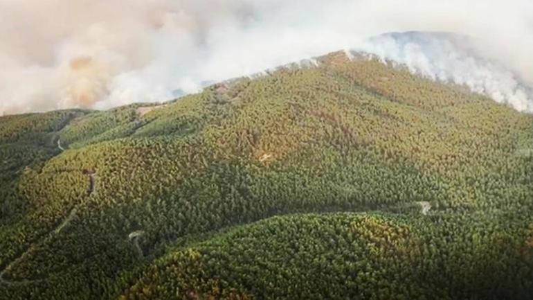 Son dakika... Bodrum Mazıköyde yangın yerleşim bölgesine giriş yaptı Evler alevler arasında kaldı