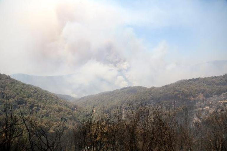 Sırtköyün muhtarı Mehmet Çil, Ulaştırma Bakanına yangını anlatırken gözyaşlarına boğuldu: Kozalaklar el bombası gibi patladı