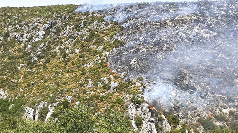 Bodrum sönmüyor... Alevlerle İstiklal Harbi