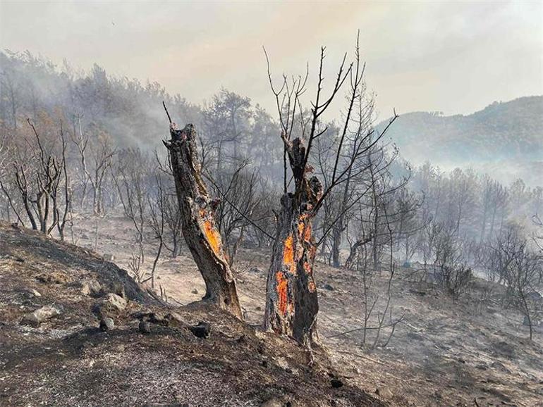 Nereye gidiyor, neye yol ayor ki zt sonucu var... Orman yangnlarnda duman tehdidi