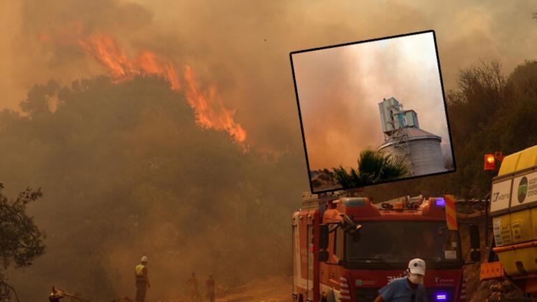 Son dakika yangın haberleri... Milas, Karacasu, Manavgat... Mücadele sürüyor: Termik santraldeki yangın söndürüldü