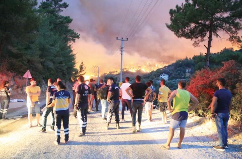 Gökova arıları Notre Dame’ın 200 bin arısı kadar şanslı mıydı