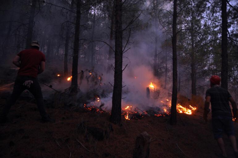 İklim değişikliğinin orman yangını bilançosu: Yıllık ortalamanın 9 katı alan kül oldu