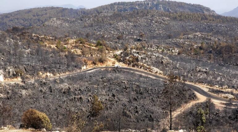 Nihayet nefes aldık Antalya, Bodrum ve Marmaristeki orman yangınları söndürüldü