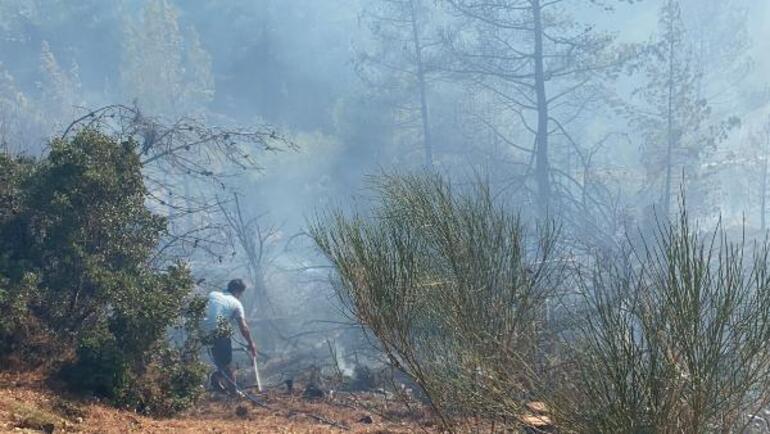 Son dakika: Muğlanın Köyceğiz ilçesinde yangınla mücadele İşte son durum