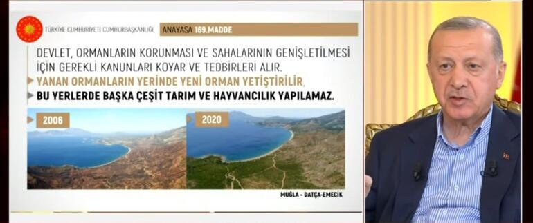 Son dakika haberi: Cumhurbaşkanı Erdoğan: Türkiye yolgeçen hanı değildir
