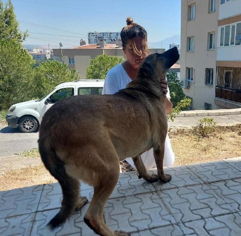 Son dakika İzmir�de korkunç olay! Metrelerce sürükleyerek ölümüne