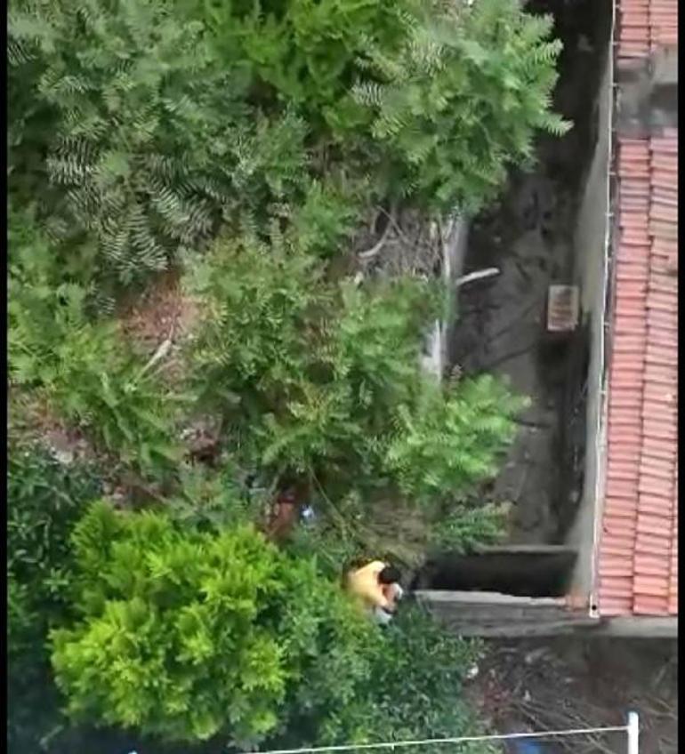 5 metreden aşağı düştü, çığlıklarını apartman sakinleri duydu