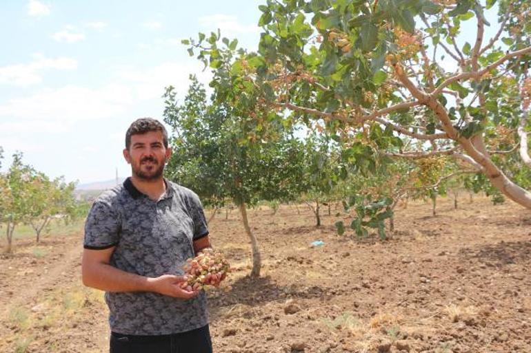 Güvenlik önlemleri üst düzeye çıkarıldı... Yeşil altın nöbeti