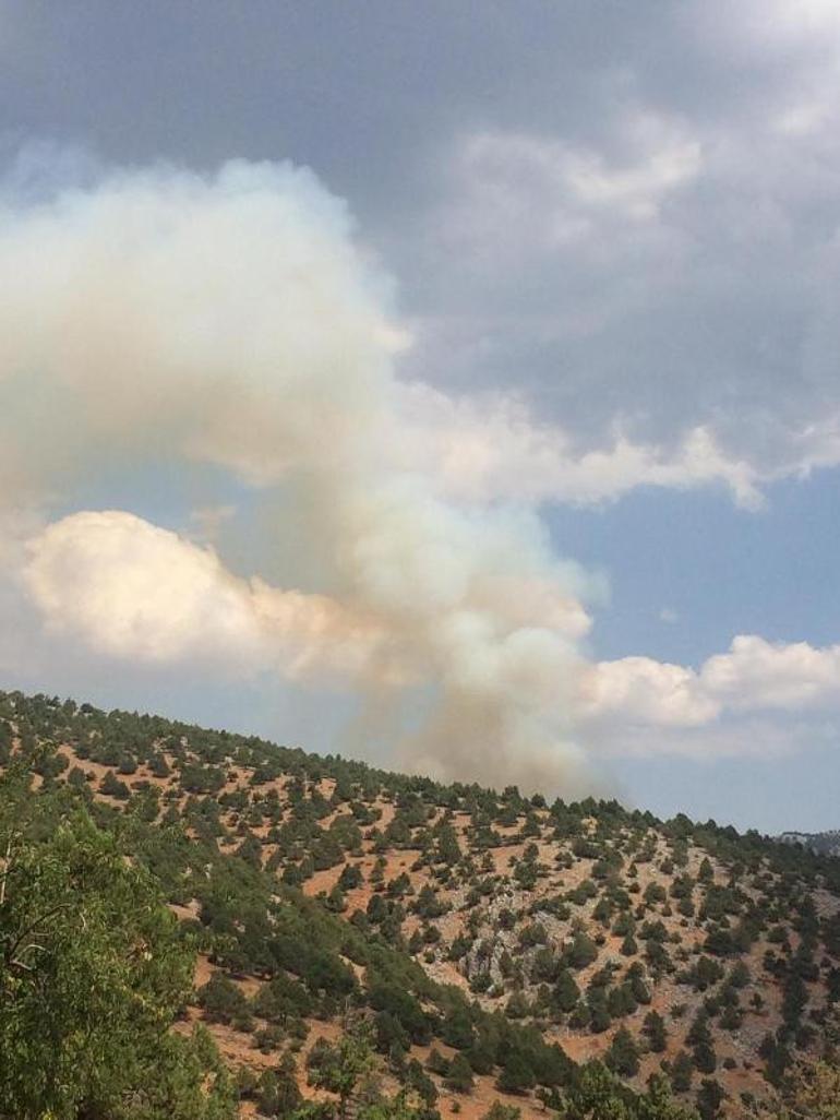 Adana Saimbeylide orman yangÄ±nÄ±