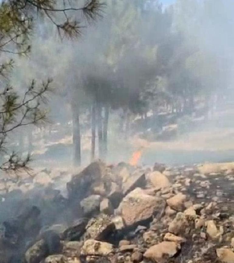 Kiliste çıkan orman yangını büyümeden söndürüldü