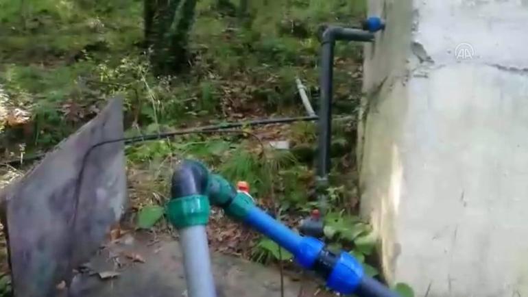 Hamidiye diye kuyu suyu sattılar