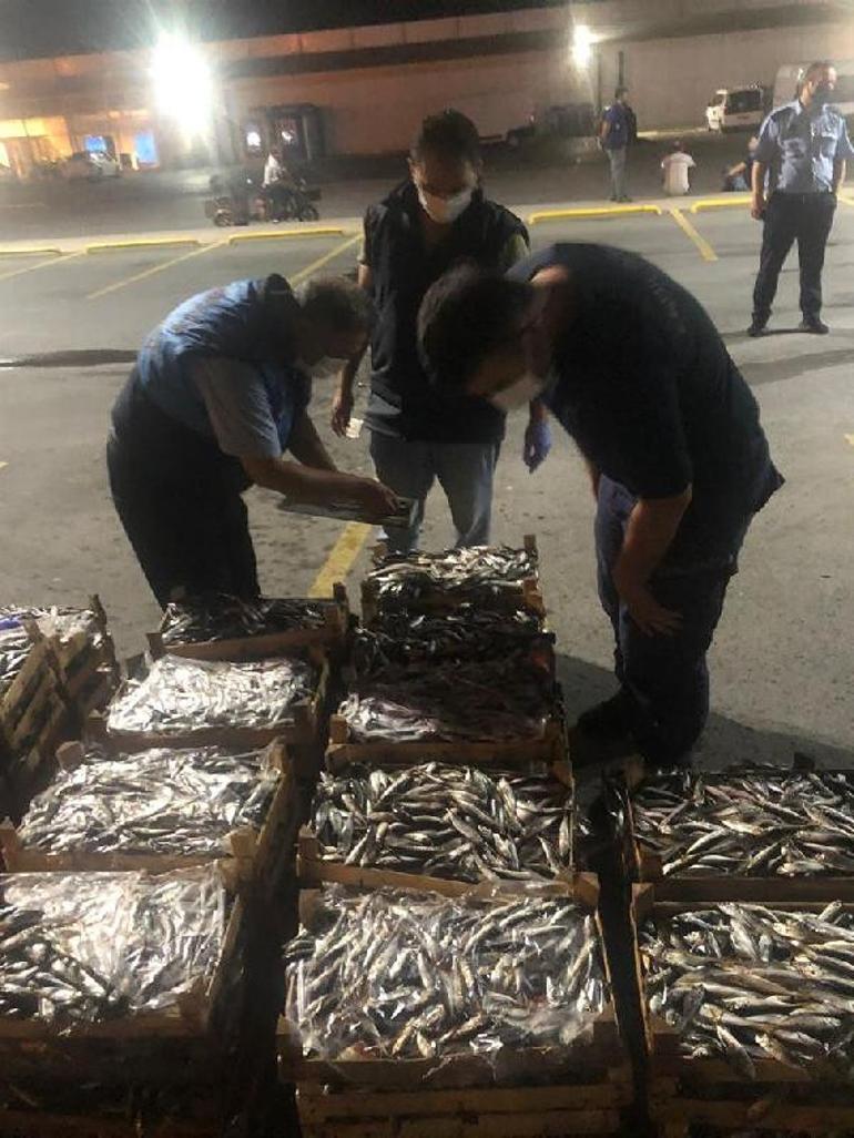 Av sezonu öncesi denetim 1.5 ton istavrite el konuldu