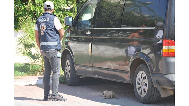 Yavru köpekler ölü bulundu... Korkunç iddia Siz nasıl bir canisiniz