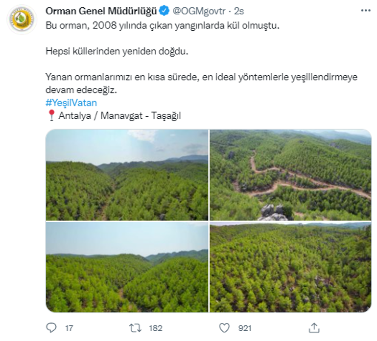 Manavgatta 13 yıl önce yanan orman yeniden yeşile döndü