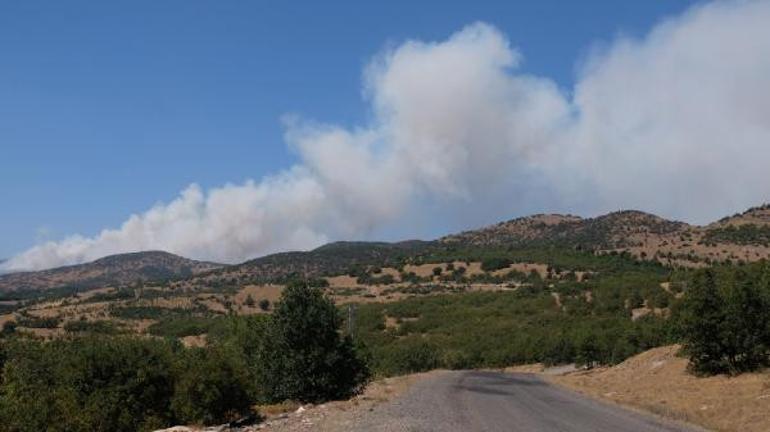 Son dakika Bingölde orman yangını