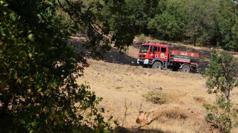 Son dakika Bingölde orman yangını