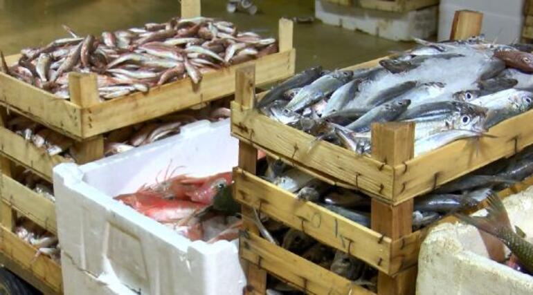 Balıkçılar vira bismillah dedi... Kasalar dolup taştı İşte balık fiyatları...