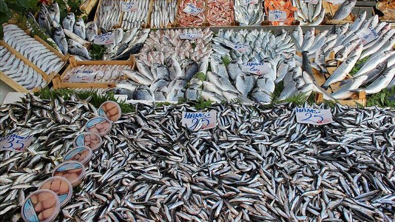 İstilacı türler Marmara ve Karadenizi de tehdit ediyor Yerli balık türleri azalırsa bizi neler bekliyor