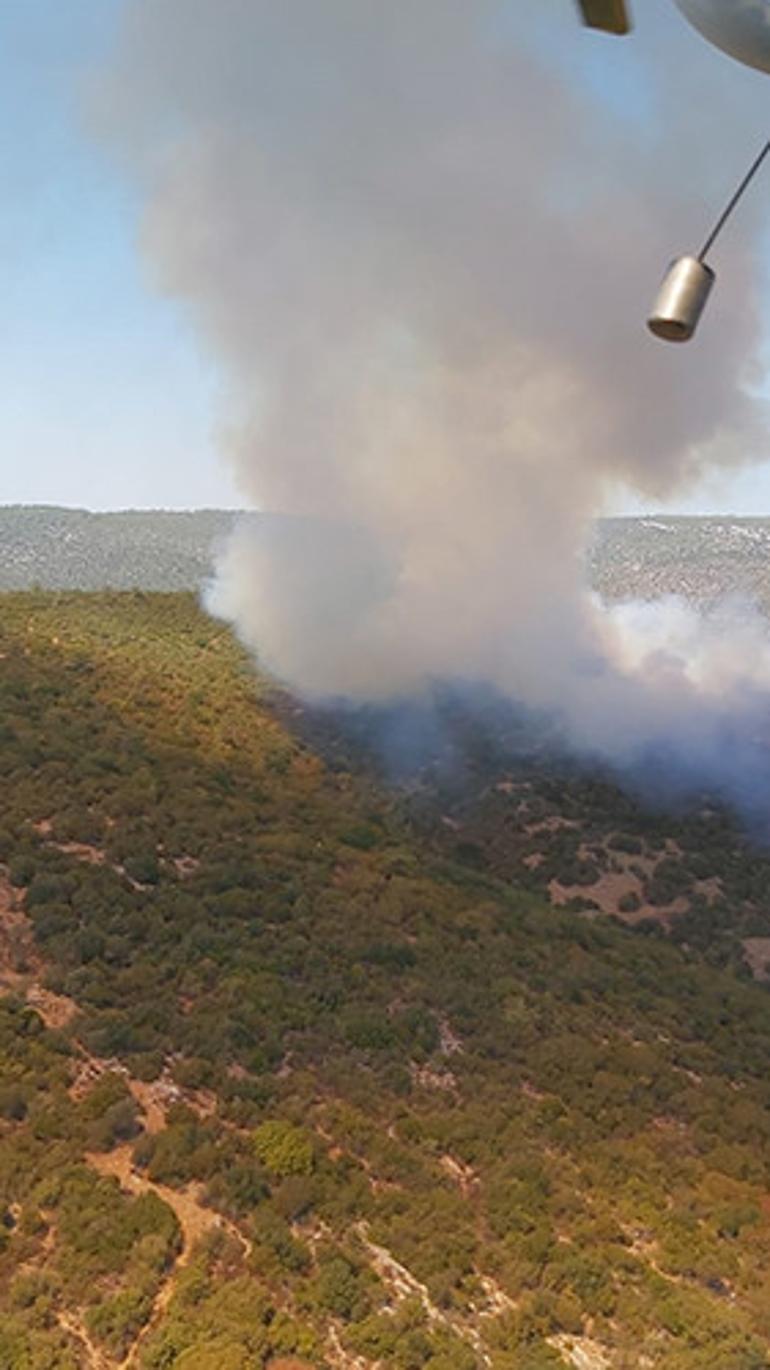 Son dakika Milasta orman yangını Çok sayıda ekip sevk edildi