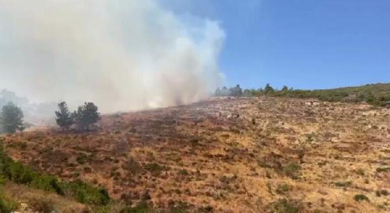 Son dakika Bodrum ve Milasta orman yangını