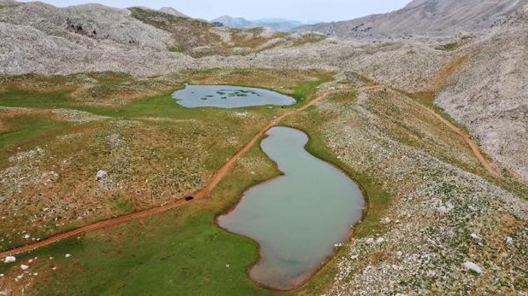 İkiz Göller tamamıyla kurudu... Göl yatakları tarlaya döndü