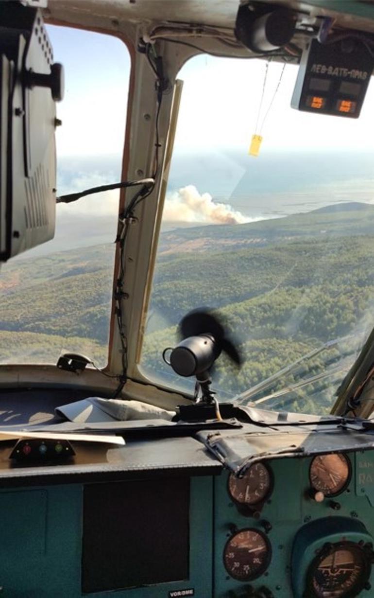 Aydında ormanlık alanda yangın Ekiplerin müdahalesi sürüyor