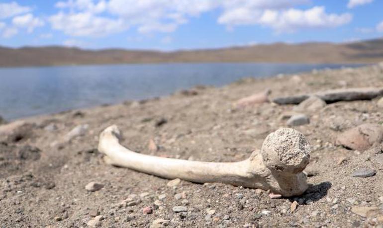 Erzurumda korkutan görüntü Palandöken Barajının suları çekilince ortaya çıktı