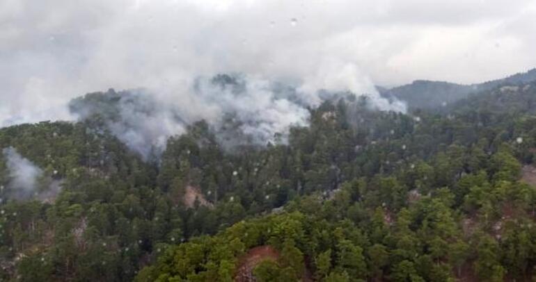 Manavgattaki yangında 4 hektar orman zarar gördü
