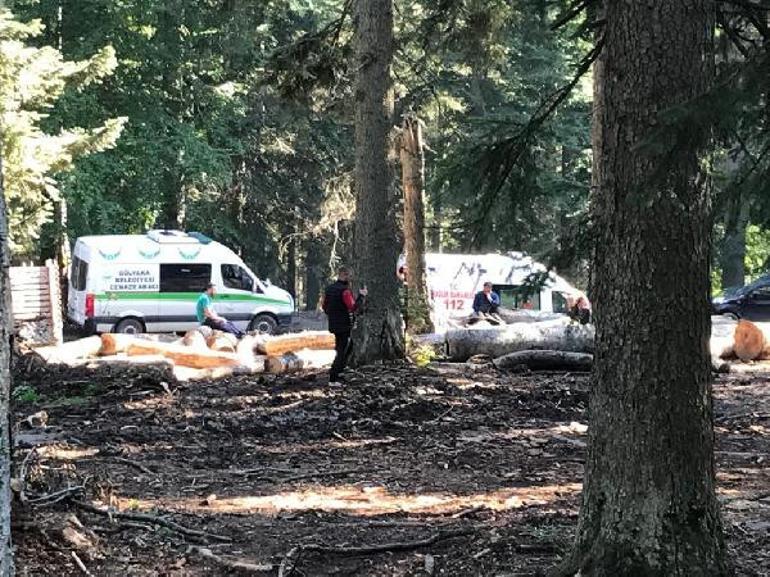 Acı ölüm... Kestiği ağacın altında kaldı