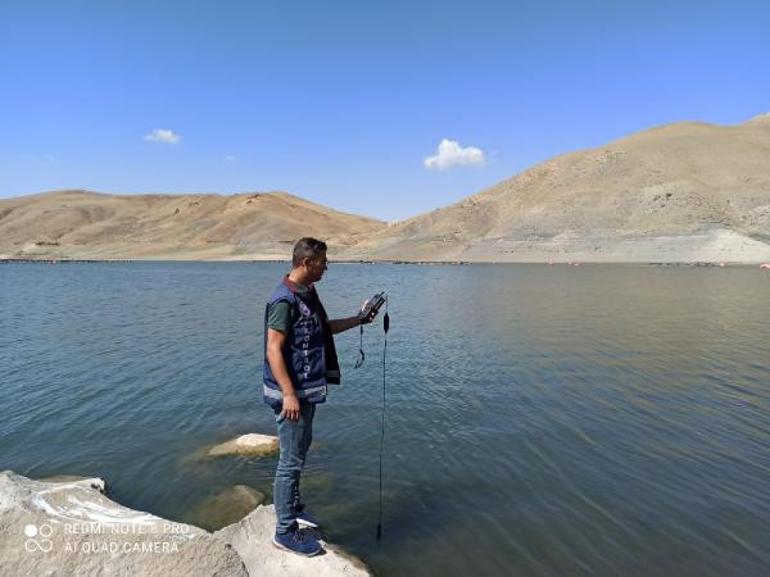 Vanda yüzlerce ölü balık kıyıya vurmuştu Nedeni belli oldu